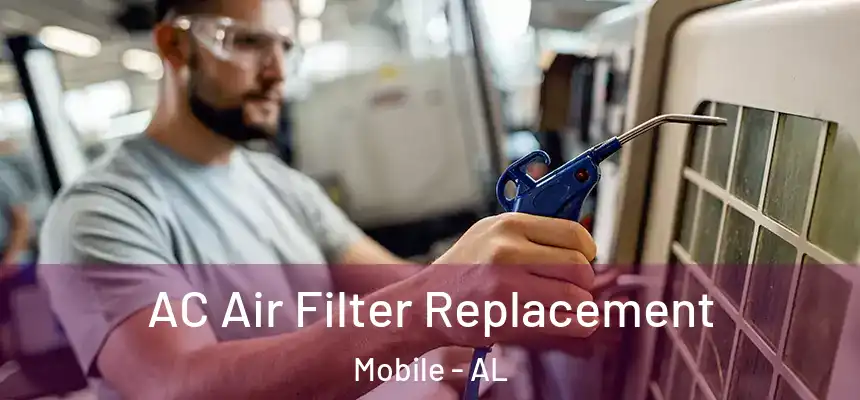  AC Air Filter Replacement Mobile - AL