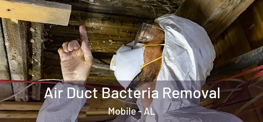  Air Duct Bacteria Removal Mobile - AL