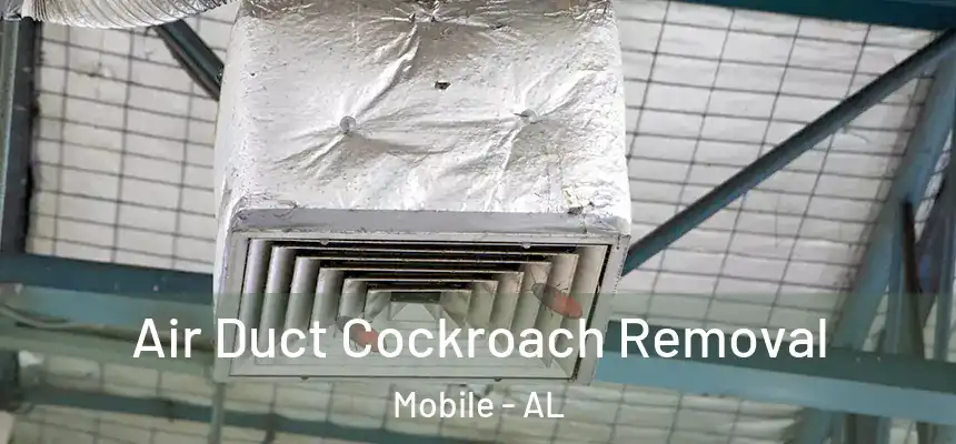  Air Duct Cockroach Removal Mobile - AL