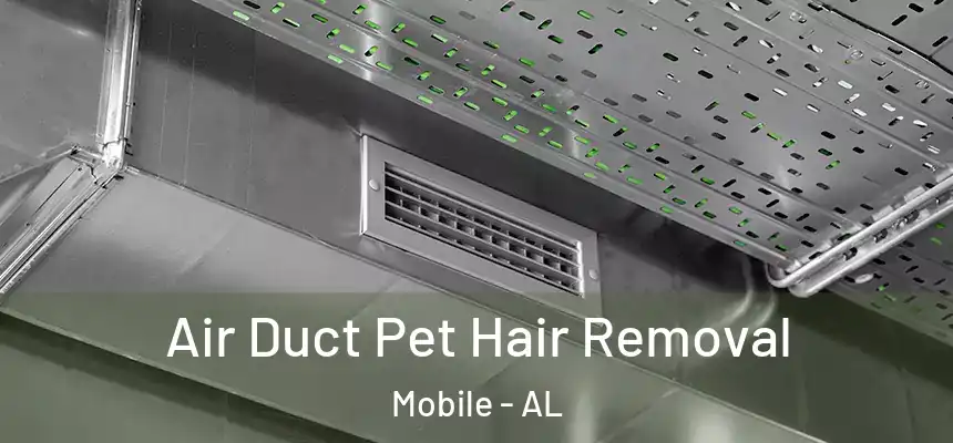  Air Duct Pet Hair Removal Mobile - AL
