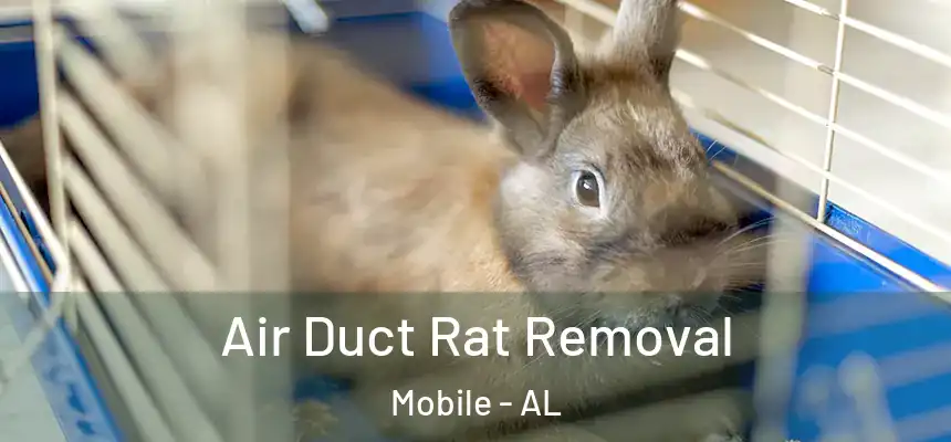  Air Duct Rat Removal Mobile - AL