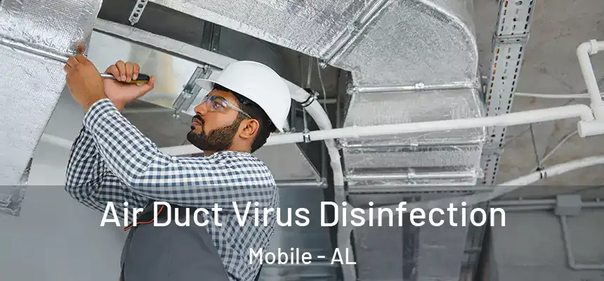  Air Duct Virus Disinfection Mobile - AL