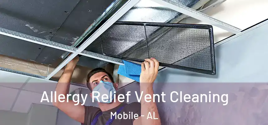  Allergy Relief Vent Cleaning Mobile - AL