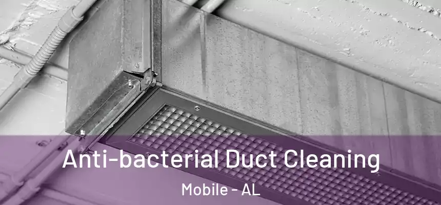  Anti-bacterial Duct Cleaning Mobile - AL