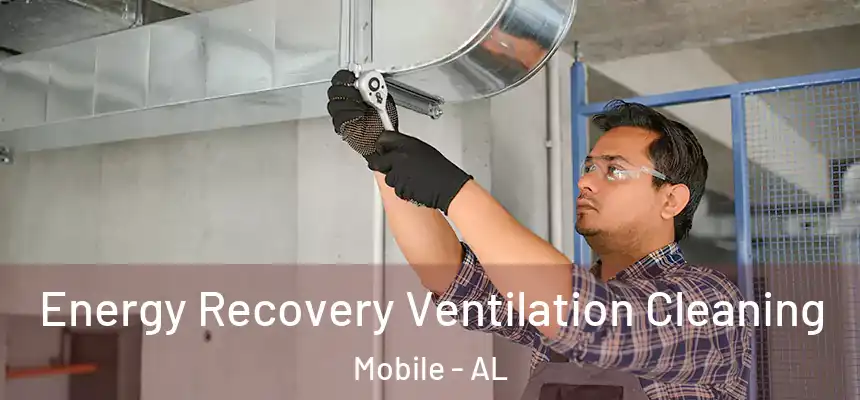 Energy Recovery Ventilation Cleaning Mobile - AL
