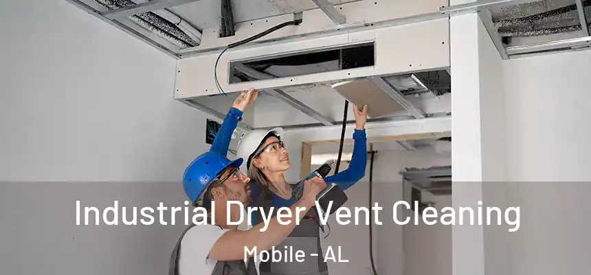  Industrial Dryer Vent Cleaning Mobile - AL