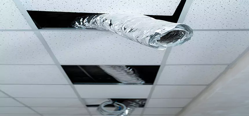 Affordable HVAC Sanitizing After Pest Removal in Mobile