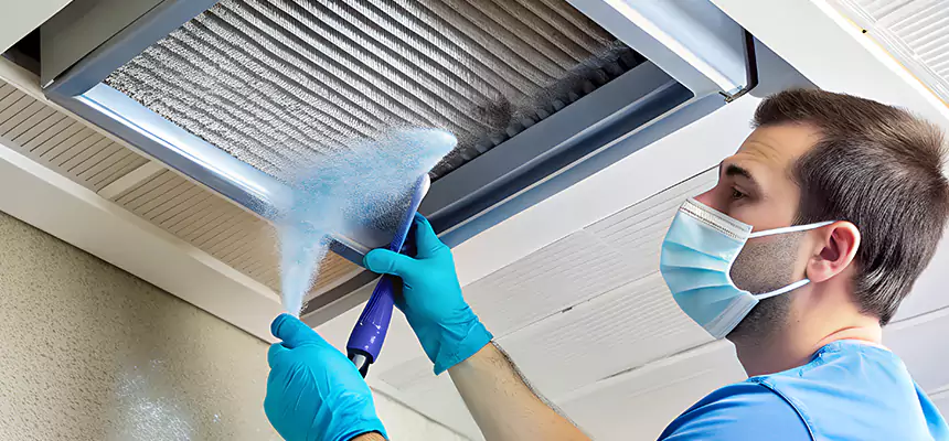 Proactive Dryer Vent & Auxiliary Duct Pollen Cleanup in Mobile, AL