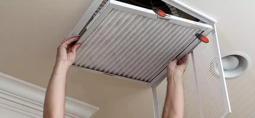 Our Insect Removal from Air Ducts Services in Mobile, AL