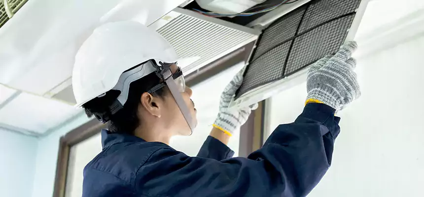 Our Mold & Mildew Removal from Air Ducts Services in Mobile, AL