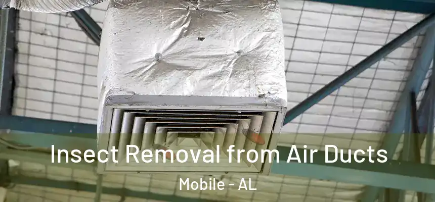  Insect Removal from Air Ducts Mobile - AL