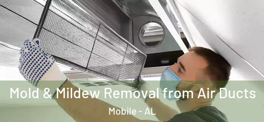 Mold & Mildew Removal from Air Ducts Mobile - AL