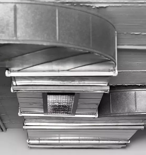 Professional Air Duct Pet Hair Removal in Mobile, AL