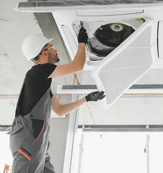 About Air Duct Rodent Removal in Mobile, AL