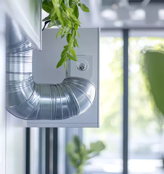 Professional Eco-Safe Dryer Vent Cleaning in Mobile, AL