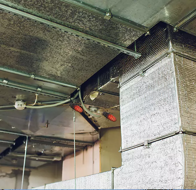 Why Homeowners & Businesses Trust Us in Mobile, AL?