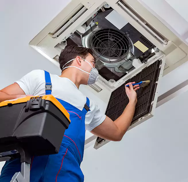 Why Homeowners & Businesses Trust Us in Mobile, AL