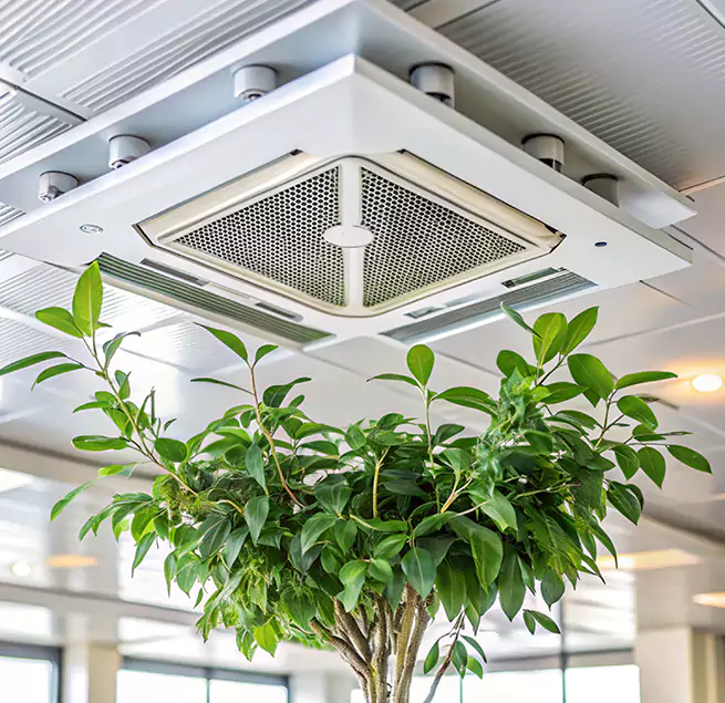 Why Homeowners & Businesses Trust Us in Mobile, AL