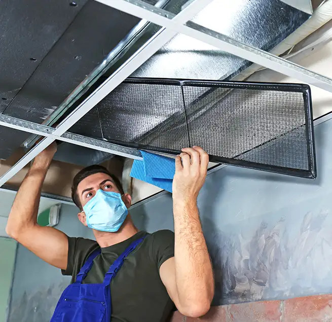 Why Homeowners & Businesses Trust Us in Mobile, AL?