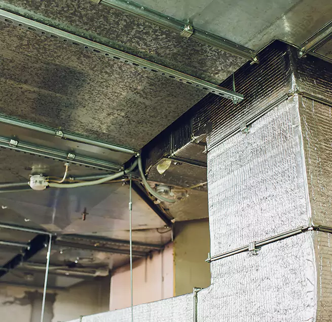 Why Homeowners & Businesses Trust Us in Mobile, AL?